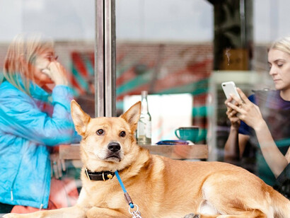 Criticando a todo el mundo desde el bar