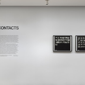 Ken Ohara, Contactos, vista de Whitney Museum