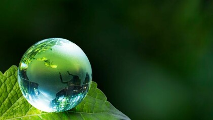 The LAGs contribute to strengthening the modern democratic environment