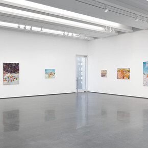 Keith Mayerson, My American dream (Rocky mountain high), exhibition view. Courtesy of Aspen Art Museum