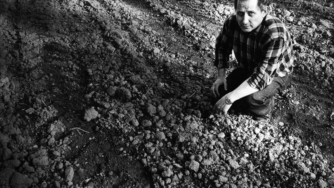 Ritratto di Nanni Valentini, foto di Nino Lo Duca, 1985