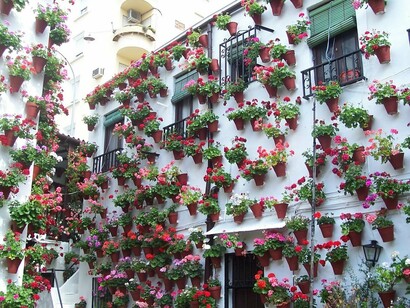Córdoba. Típico patio cordobés