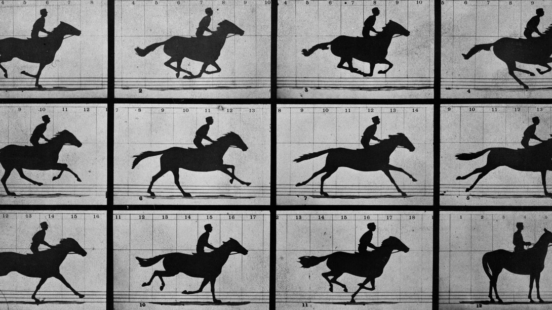 «Cavalo em movimento» (1878), Eadweard J. Muybridge