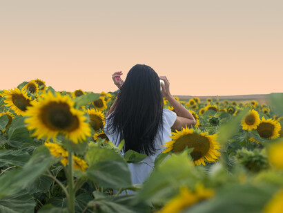 Adolescente de vestido celeste en un campo de girasoles