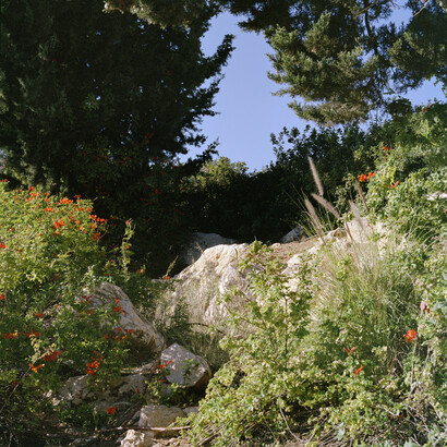 Corrine Silva, Untitled 003 from Gardening the Suburbs, 25 x 25 cm, c type print © Corinne Silva 2014