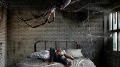 Aracnofobia