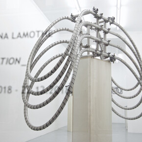 Luciana Lamothe. Courtesy of Alberta Pane
