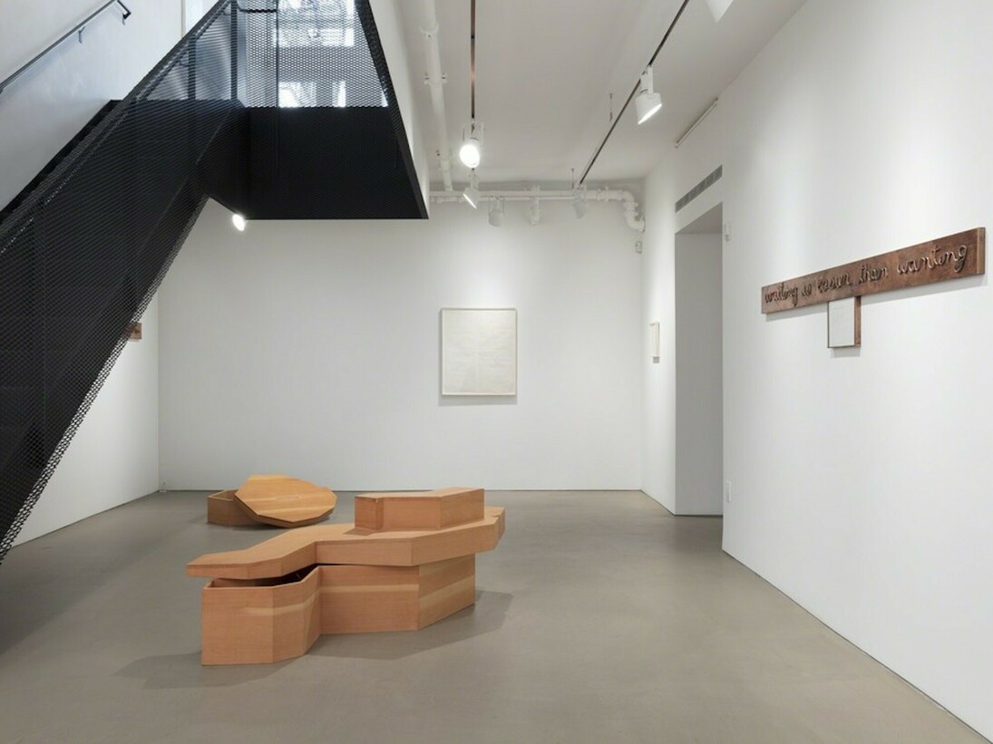 Want, Exhibition view. Courtesy of Alexander and Bonin