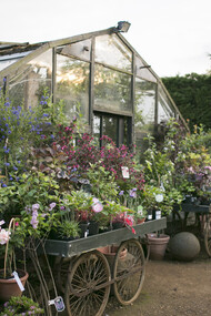 Petersham Nurseries Cafe. Credit Marimo Images