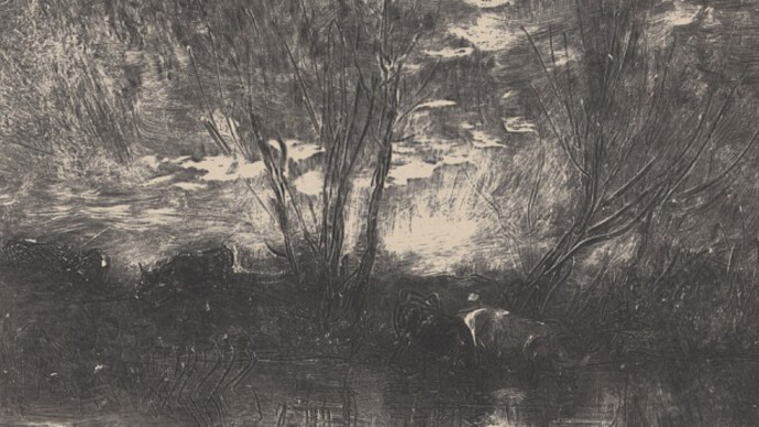 Charles François Daubigny, French, 1817-1878, Maurice le Garrec, publisher, French, d. 1937, Cows at a Watering Place (Vaches à l’abreuvoir), from the portfolio “Forty Clichés-Verres” (Quarante Clichés-Glaces), 1862 (printed 1921) Cliché-verre on paper, Museum purchase: anonymous gift 47.719.33