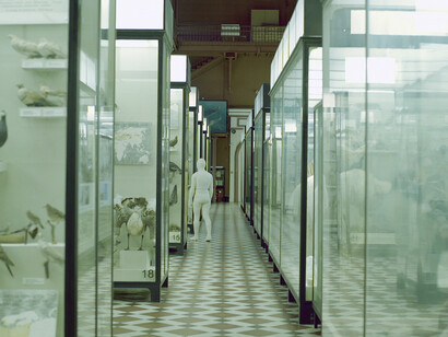 Anton Vidokle, Immortality and resurrection for all! Courtesy of the National Gallery