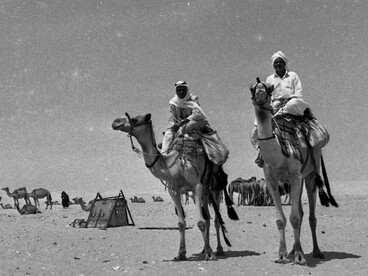 Colección de Dan Hadani: beduinos en Sinaí, 1969, Egipto