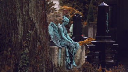 I libri di Domenico Dara sono carezze necessarie