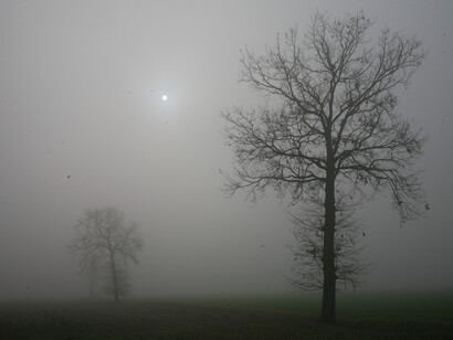 Paesaggio lombardo con nebbia