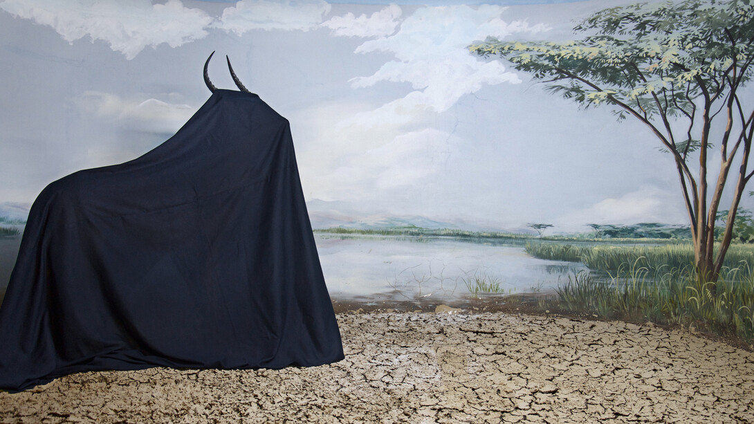 The collection of Mr. X. Courtesy Galeria Filomena Soares and the artist