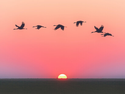 La bellezza di Dio secondo ognuno di noi. Poterlo vedere è semplicissimo ma bisogna partire dal non lasciarci influenzare da quello che gli altri ci dicono ed indicano, pena, in molti casi, di essere noi a lasciarci ingabbiare su ciò che decidono gli altri per noi