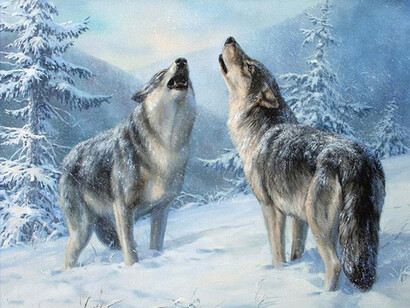 Neve e gelo nei ghiacci dell'Alaska