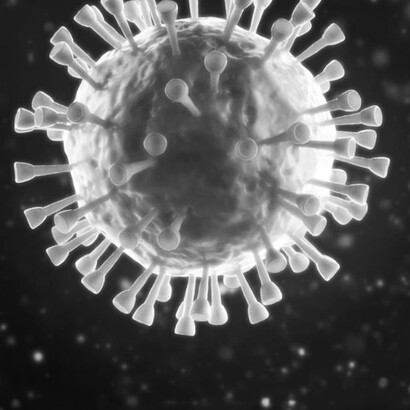 Fino a poco tempo fa era difficile studiarle i virus a RNA