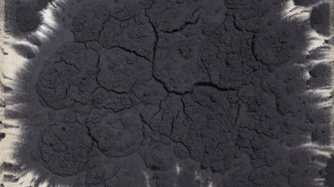 Saecula Saeculorum. Courtesy of Brand New Gallery