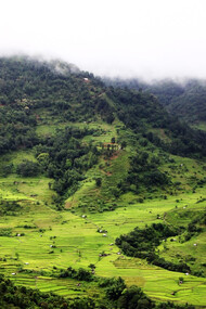 Kohima landscape, Nagaland 