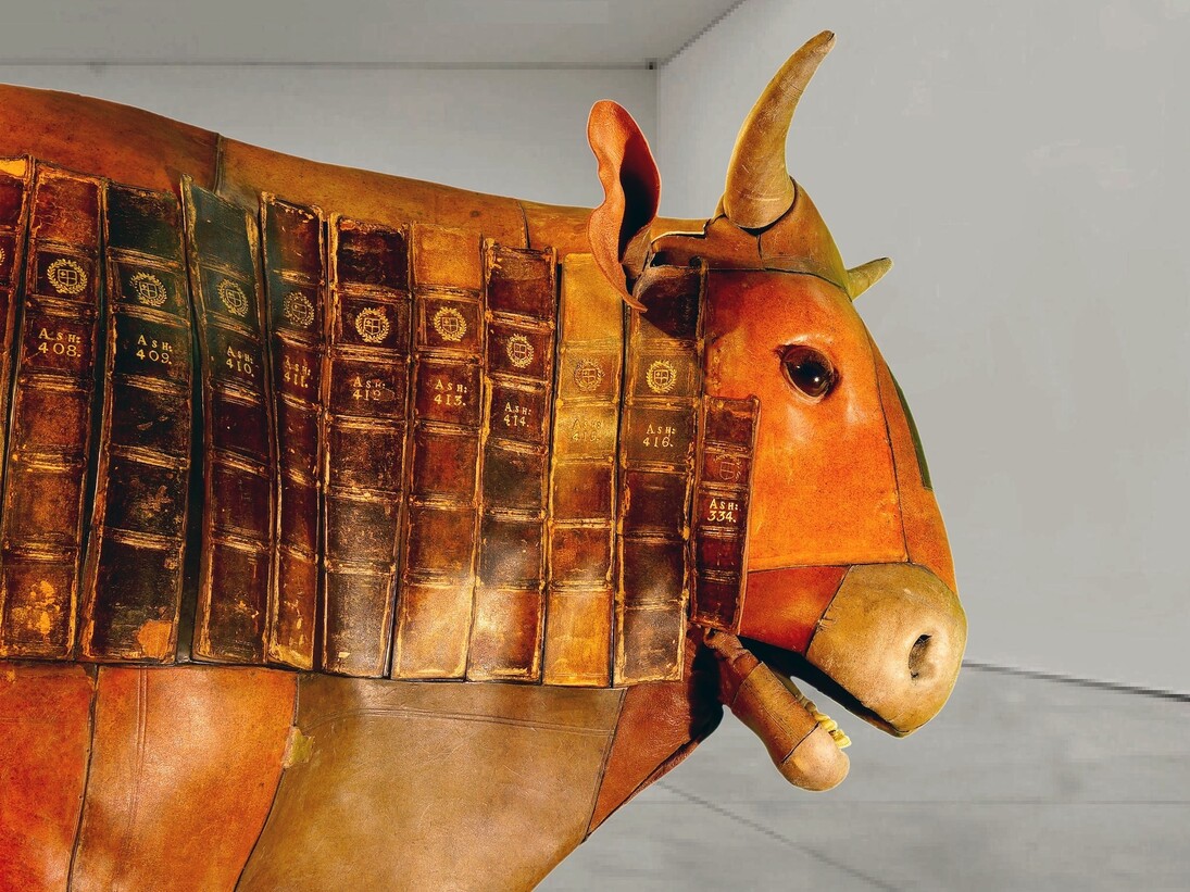 Rémy Markowitsch, The Casebooks Calf (Casebooks commission). Courtesy of Ambika P3 and the Casebooks Project 