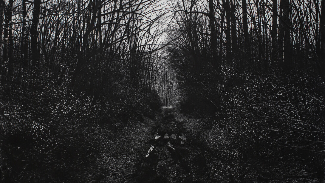 Thomas  Levy-Lasne, La fôret, fusain sur papier, 250 x 325 cm 