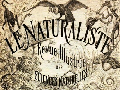 Le Naturaliste