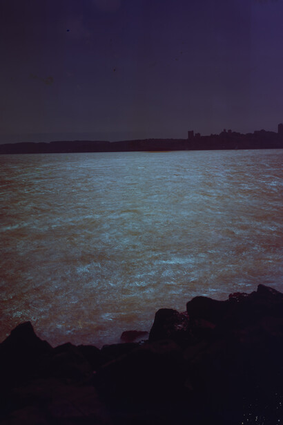 John Chiara, Avenue of the Palms at 9th Street, Treasure Island, 2023. Courtesy of Rosegallery