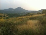 Colli Euganei. Versanti aridi di prateria