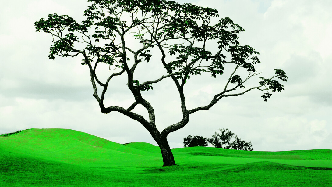 Caio Reisewitz, Goiania Golf Club II, 2011, C-print sous Diasec, 180 x 155 cm, Edition : 5 + 2EA, Courtesy Bendana I Pinel Art Contemporain & artiste
