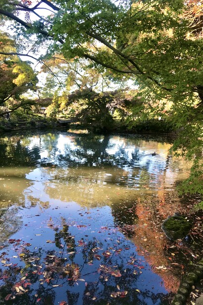 Higo Hosokawa Garden © Alma Reyes