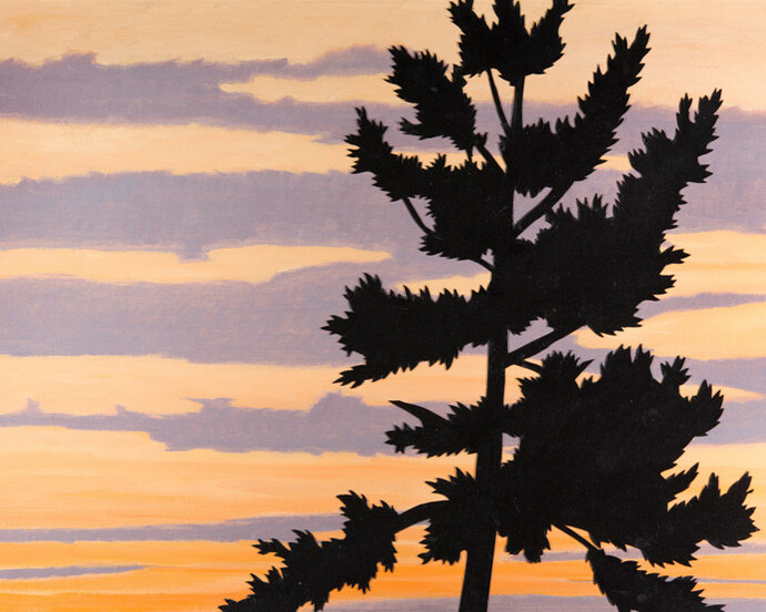 New England Sky: Alston Conley. Courtesy of McMullen Museum of Art 