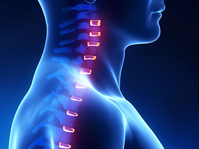 Un corretto allineamento delle vertebre