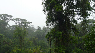 Parque Braulio Carrillo