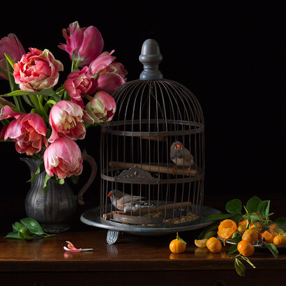 Zebra Finches and Tulips, 2017 © Paulette Tavormina, courtesy Robert Mann Gallery 