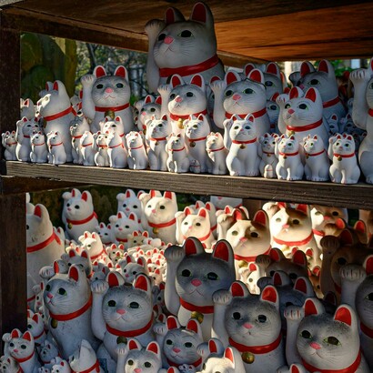 Il Maneki Neko non porta solo fortuna, ma anche un messaggio di fiducia nel futuro