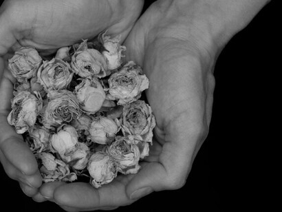 Elegir el final no es negar la vida, sino rechazar el sufrimiento que la desfigura