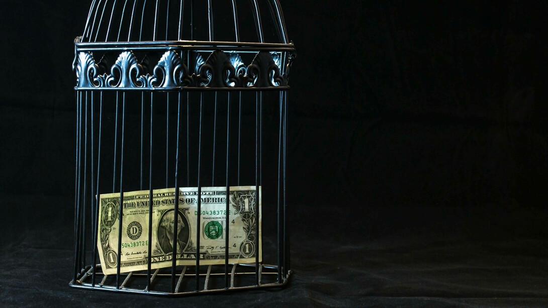 Gabbia per animali domestici che contiene una banconota da un dollaro: una riflessione sul potere, i limiti e le contraddizioni del sistema economico