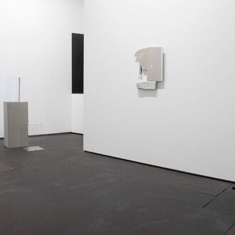 Gediminas G. Akstinas, Pose, exhibition view. Courtesy of PM8/Francisco Salas Gallery