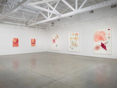 Jorinde Voigt, Works on paper, exhibition view. Courtesy of Marc Selwyn Fine Art