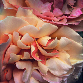 John Arsenault, 1:22 pm, Los Angeles, 2014, Signed, titled, dated, and numbered, verso, Chromogenic print, 30 x 30 inches (Edition of 5), 13.5 x 13.5 inches (Edition of 10)