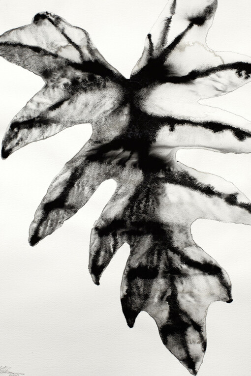 Ineffable Garden. Courtesy of Alisan Fine Arts