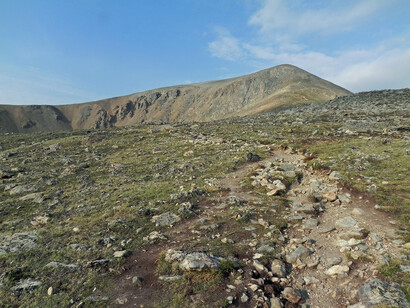 Most species of American deer live near the Rocky Mountains
