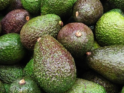 Avocado helps ease osteoarthritis