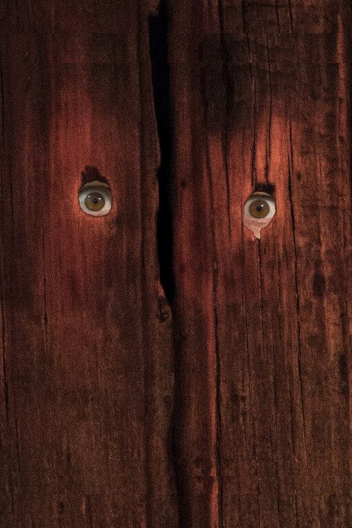 We Will Wait. Courtesy of Postmasters Gallery 