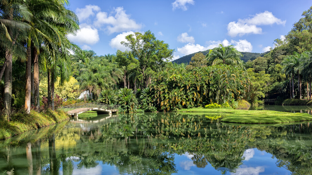 O Jardim Botânico conversa com todas as obras e galerias repletas no Instituto Inhotim