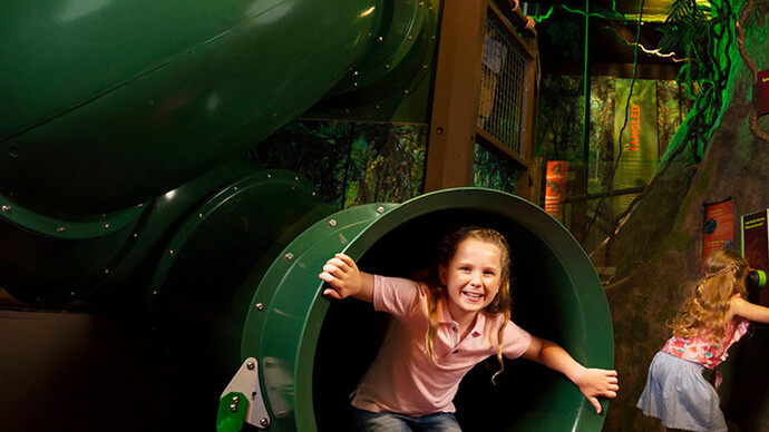 Enchanted rainforest, exhibition view. Courtesy of Queensland Museum Tropics