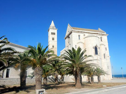 Trani, Cattedrale e palme