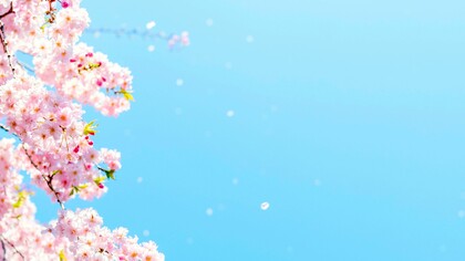 Las plantas se comunicanpor el aroma