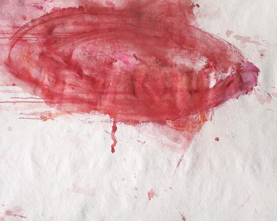 Martha Jungwirth & Eva Schlegel. Courtesy of Galerie Krinzinger